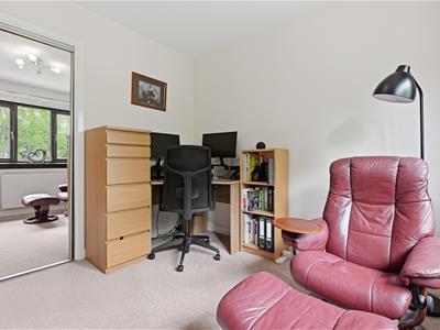 Picture 25